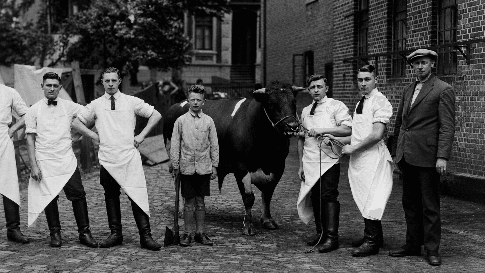 Geschichte von MESTER Altländer Fleischwaren
